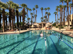 Palm Valley CC Pickleball, Tennis, Athletic Club, Pools 2 Bdrms Den 2 Ba